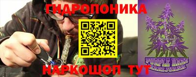 ГАЛЛЮЦИНОГЕННЫЕ ГРИБЫ Гусиноозёрск