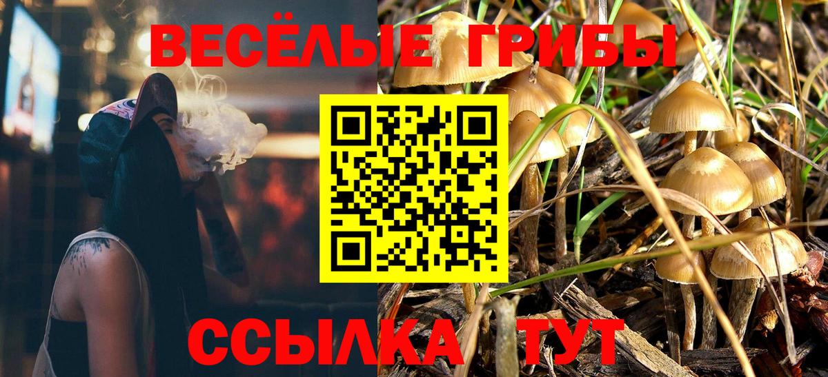 Псилоцибиновые грибы Cubensis Вышний Волочёк